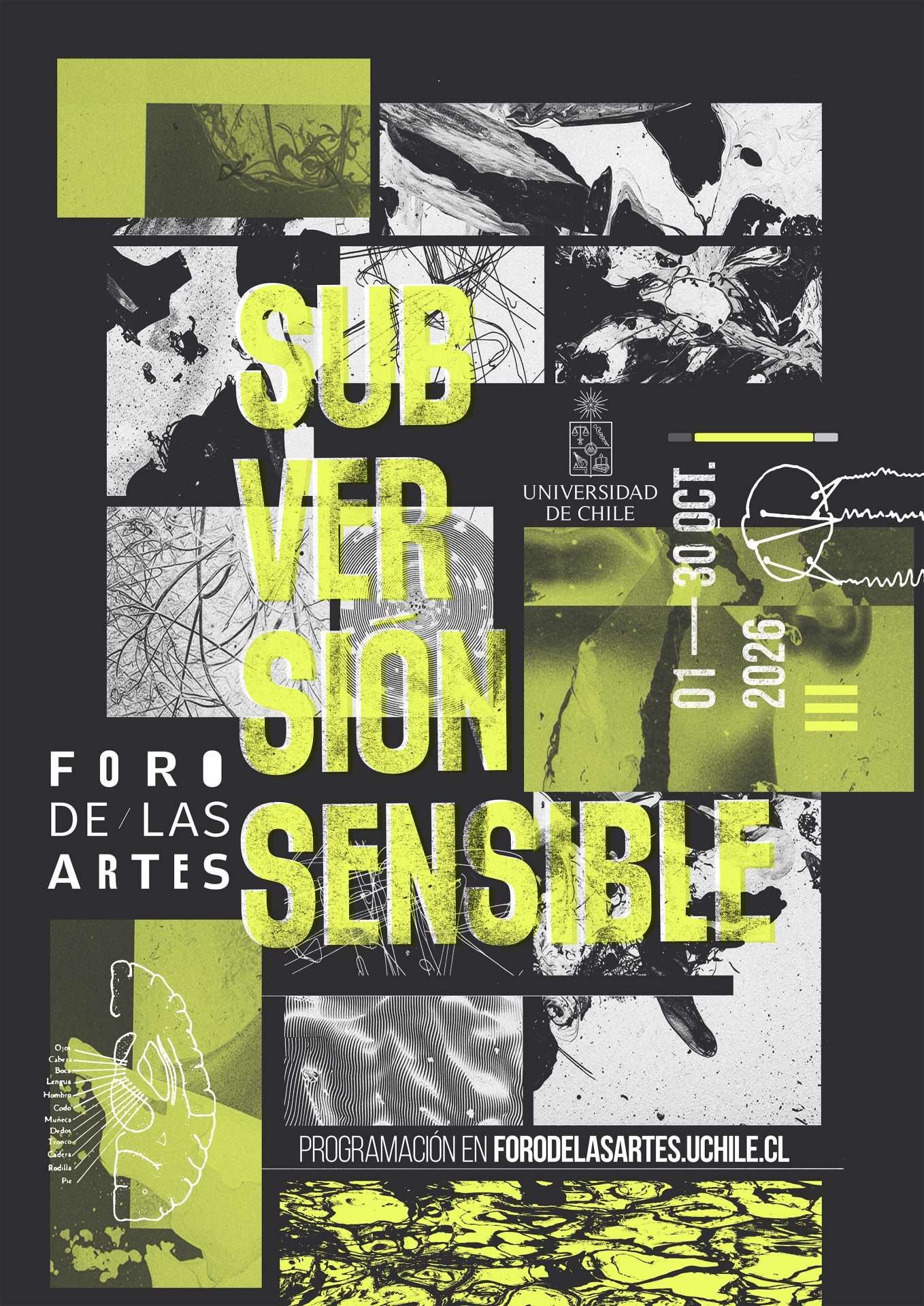 Afiche de «Subversión sensible»