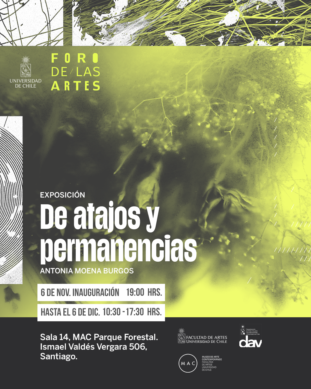 Gráfica de la obra De atajos y permanencias