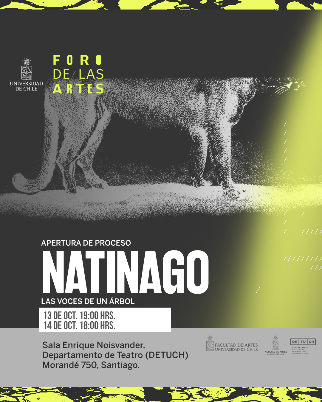 Gráfica de la obra NATINAGO