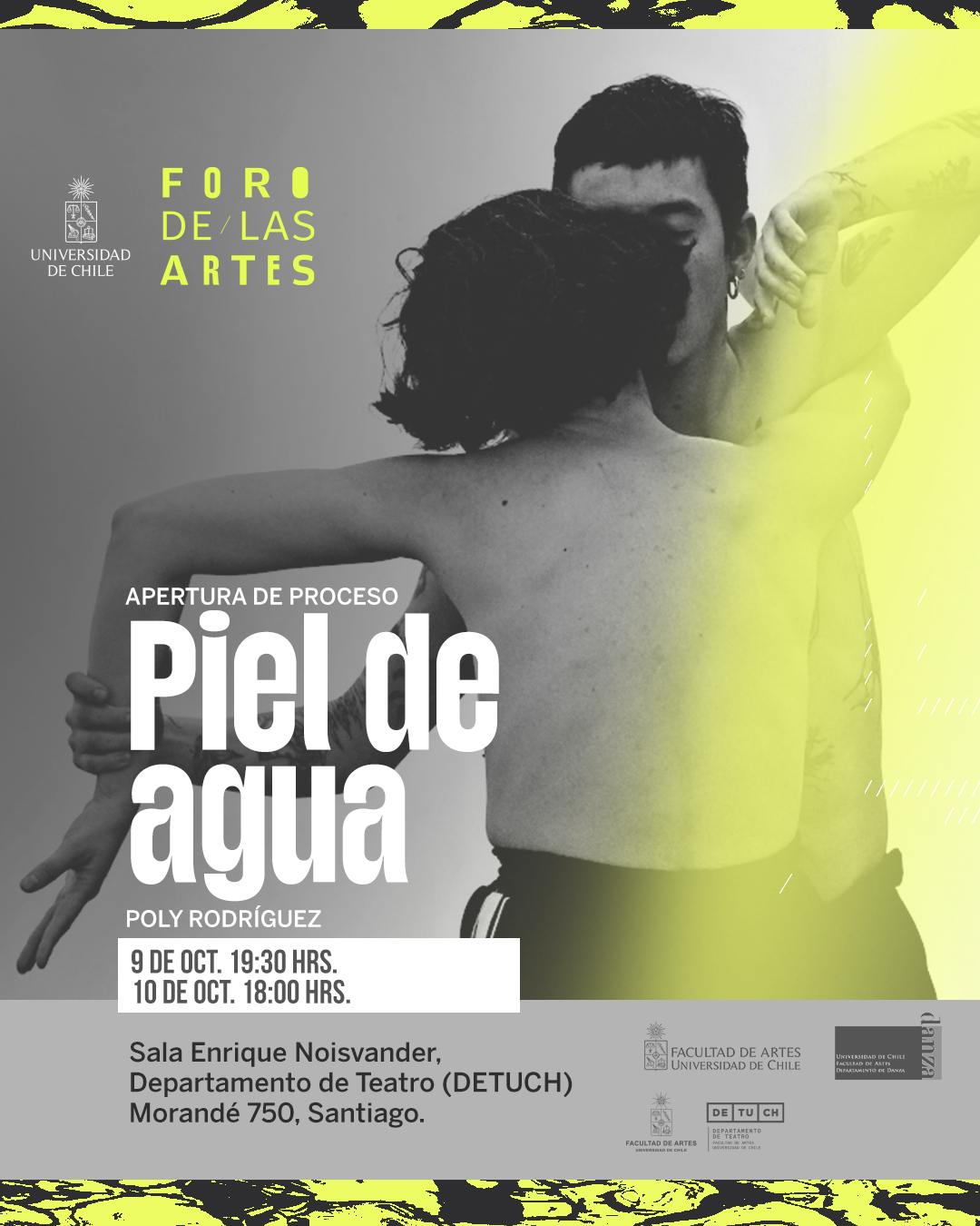 Gráfica de la obra Piel de agua